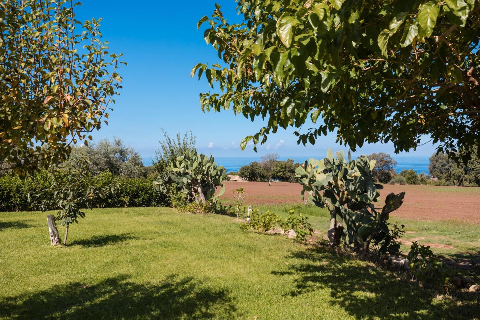 Villa Eirene Ricadi Exterior photo